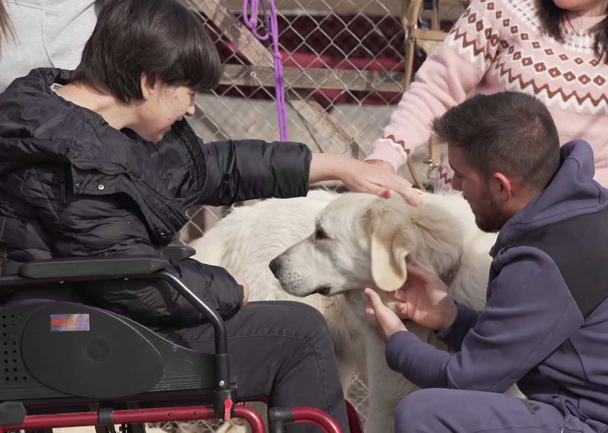 Una persona en silla de ruedas interactuando con un perro grande y blanco, asistida por otra persona.